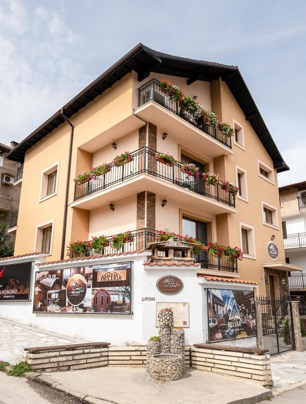 Beluga Guest House Velingrad Exteriér fotografie